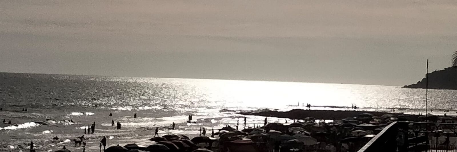 Anni Jaramillo banner