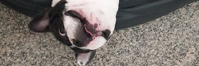 คาหนมคลั่งรัก ♥ banner