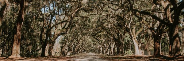 Thetallywire Profile Banner