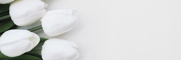 shin55mn's profile banner image