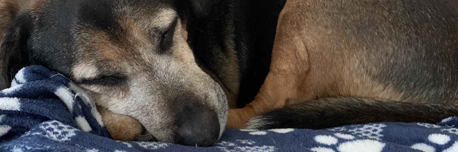 kvanber's profile banner image