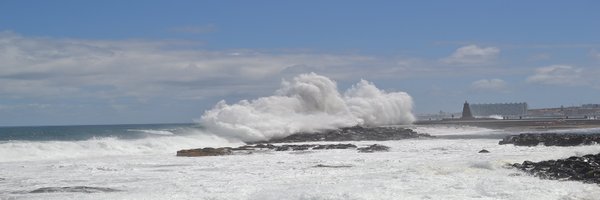 manuel_area Profile Banner