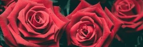 Solares94's profile banner image