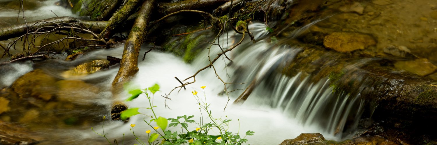 50wordsorless banner