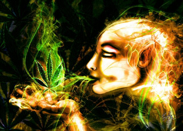 FunkDoobie1's profile banner image