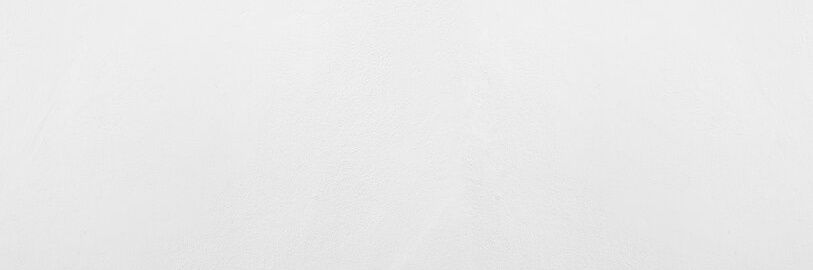 MegaBearDude's profile banner image