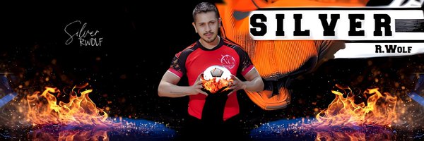 silver_rwolf Profile Banner