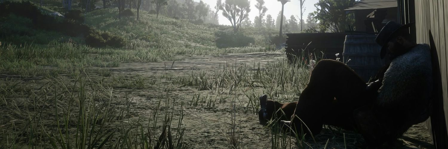 LopeGringo's profile banner image