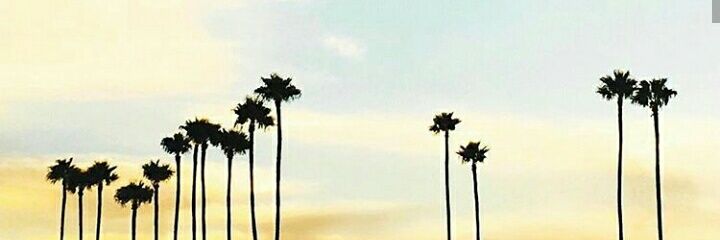 santiskf's profile banner image