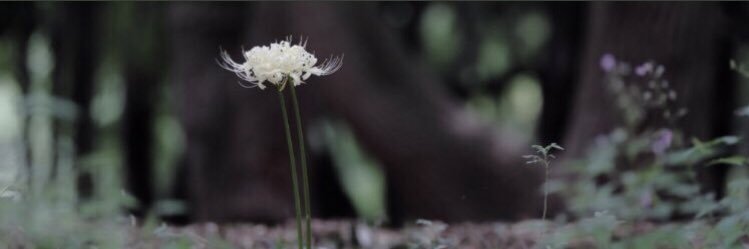 U_6978's profile banner image