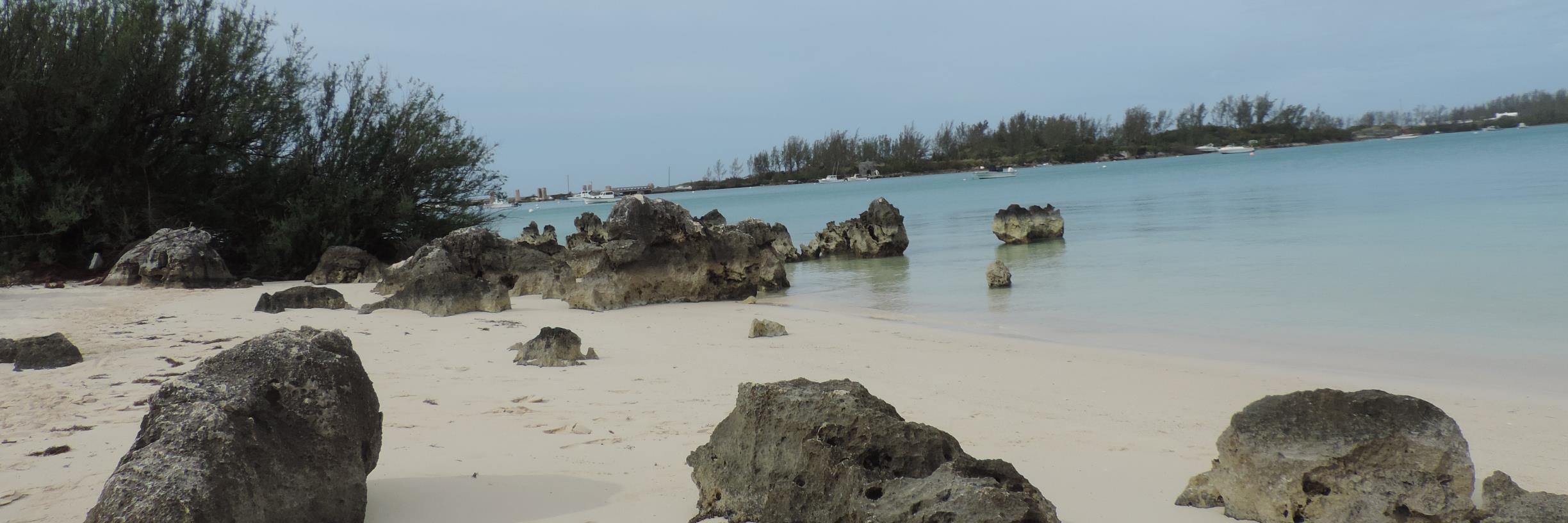 Gillian Stocks banner