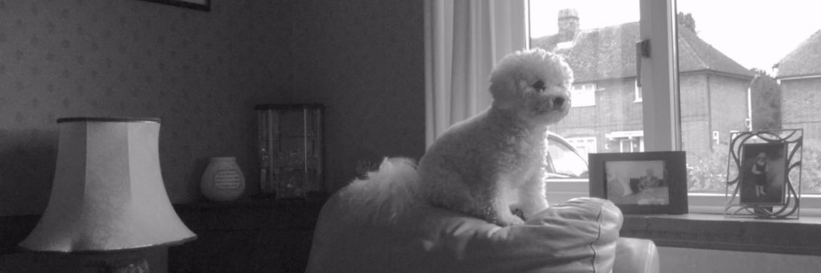 Bobbie5881's profile banner image