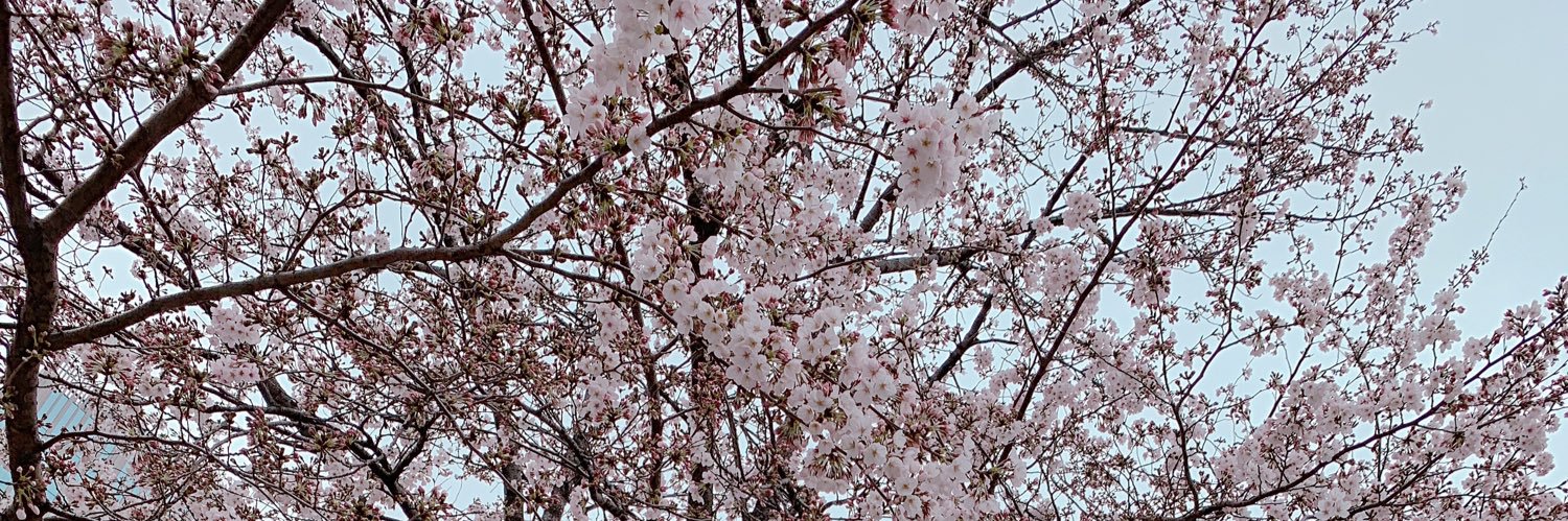 mi banner