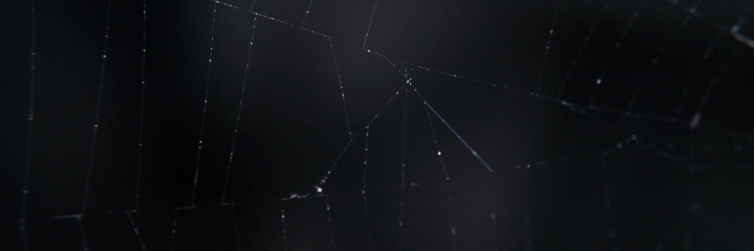 ce banner