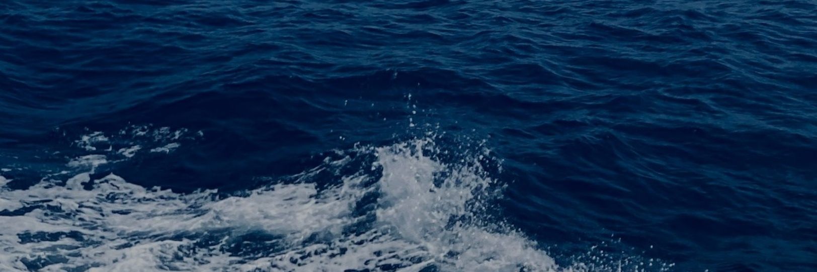 V_for_1127's profile banner image