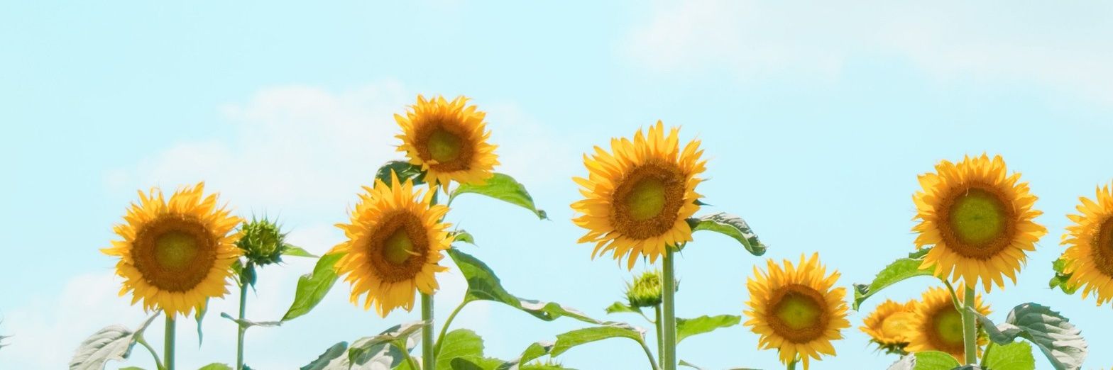 OrdaFМ banner