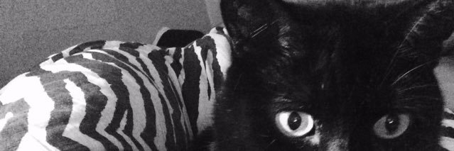 mackenzie_hawes's profile banner image