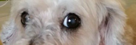 Omaira Rangel Fernández banner