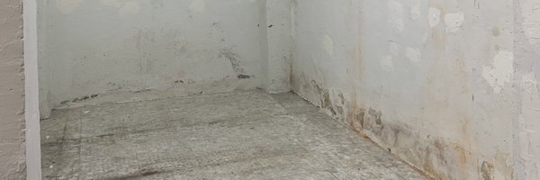 teoluvcadamo Profile Banner