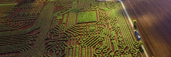 ABVista Profile Banner