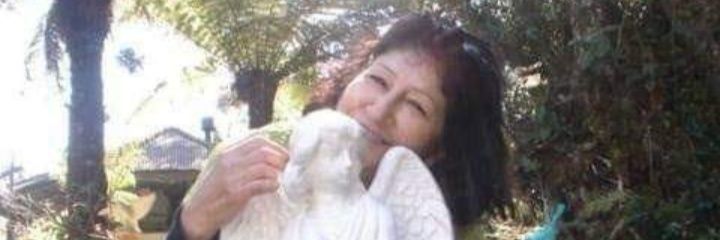 DioniAnjos's profile banner image