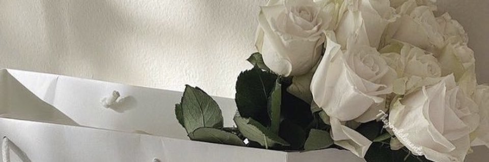 Insx07's profile banner image