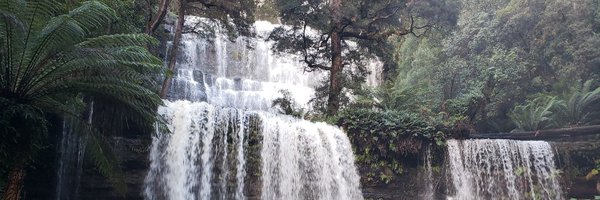dr_shlee Profile Banner