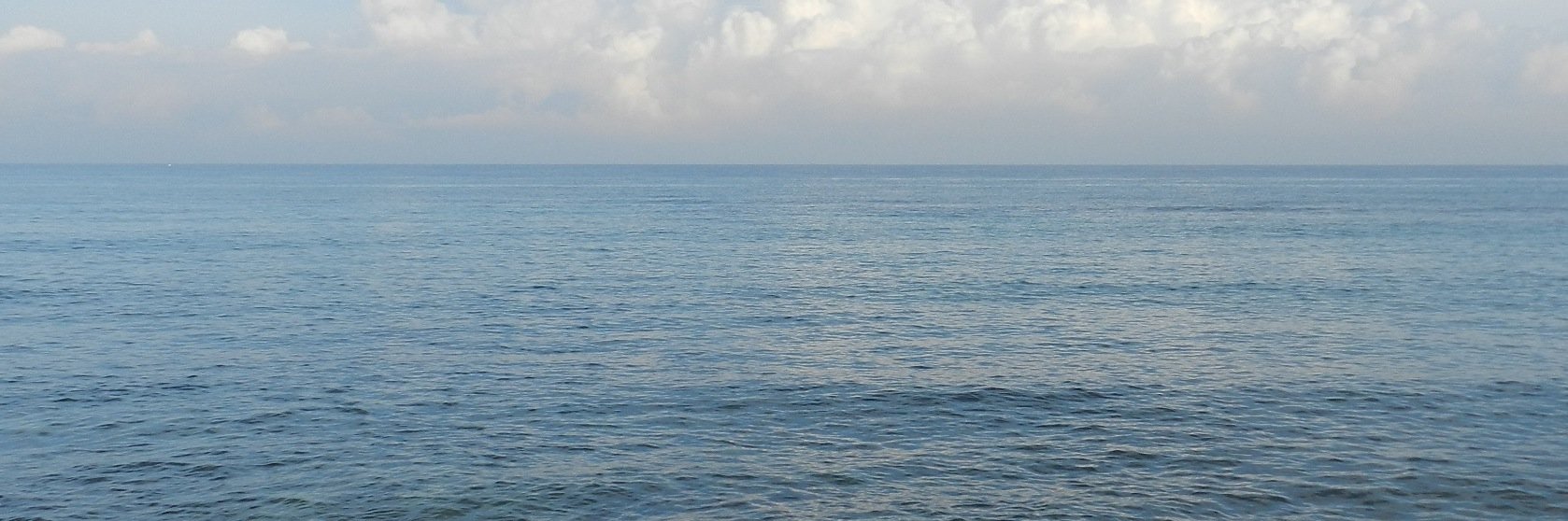 Alina Sigarroa banner