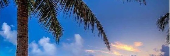 Tazio1010's profile banner image