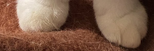 simisolee Profile Banner