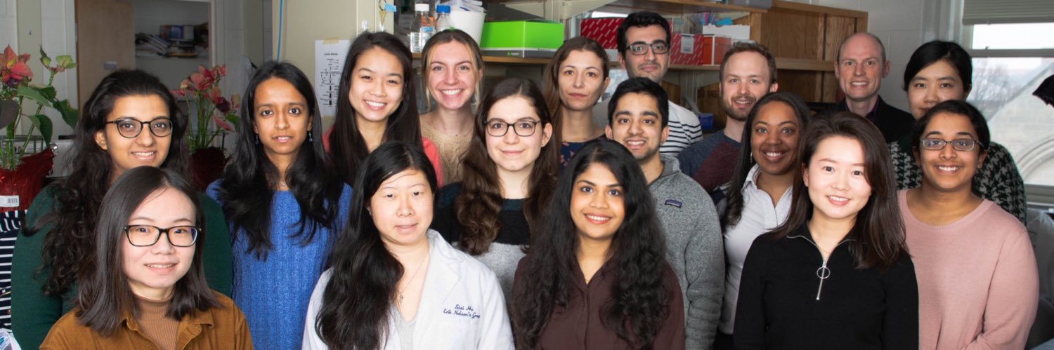 Nelson Lab banner