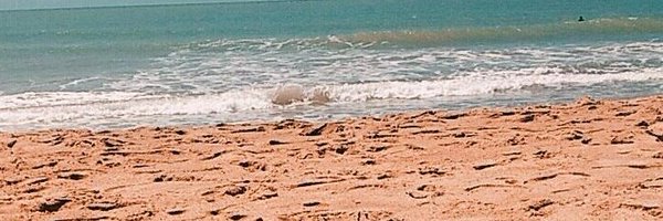 SofiTorino Profile Banner