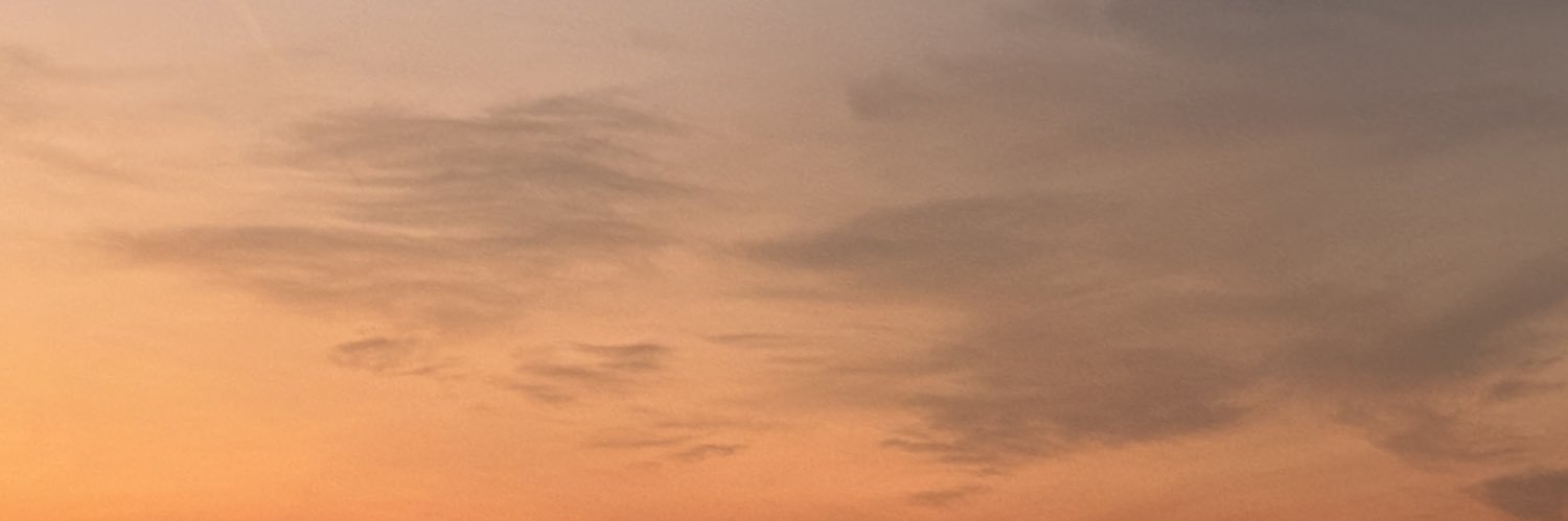 rah0ol's profile banner image