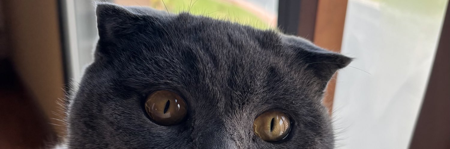 jonee banner
