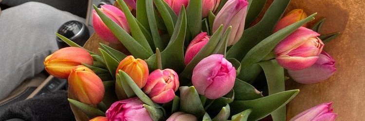 Princess Ava✨ March6th🎂 banner