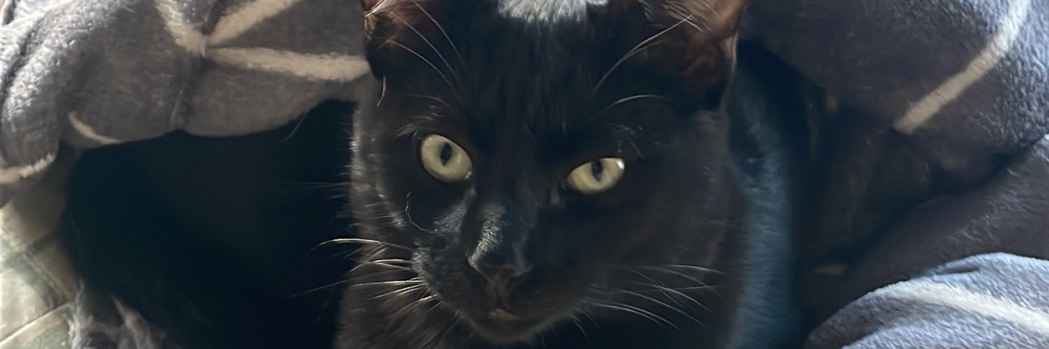 a_mas99's profile banner image