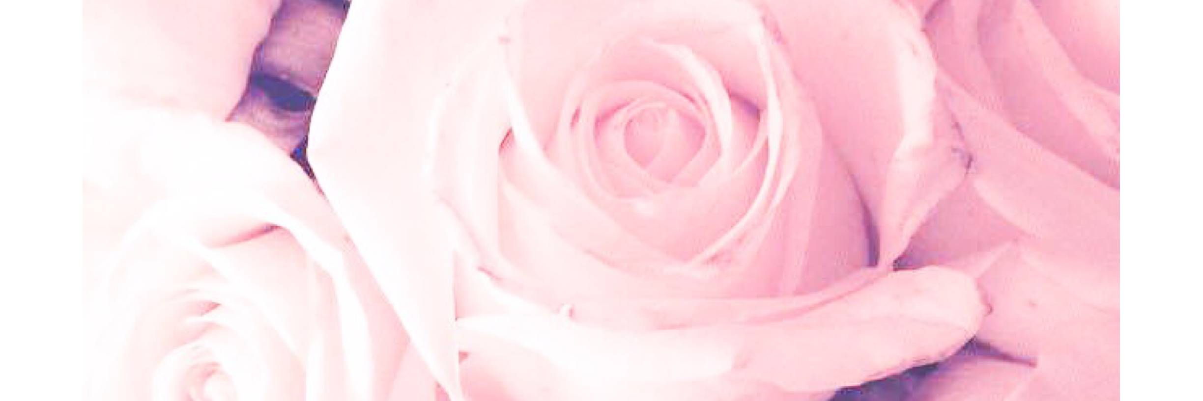 leoneill2930's profile banner image