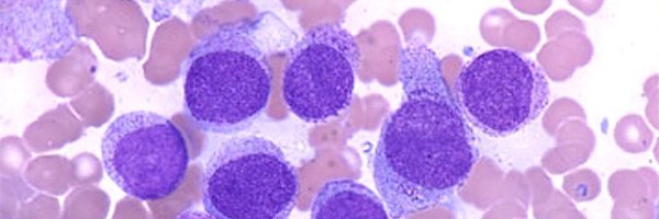 emmavontz Profile Banner