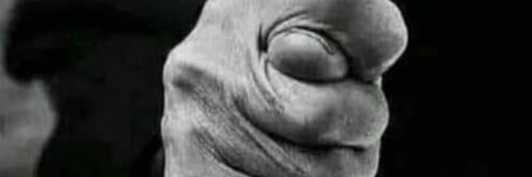 william19365494's profile banner image