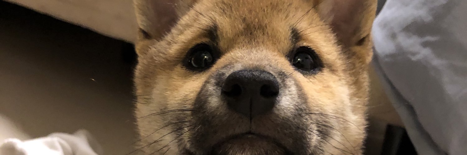 pamonhero's profile banner image