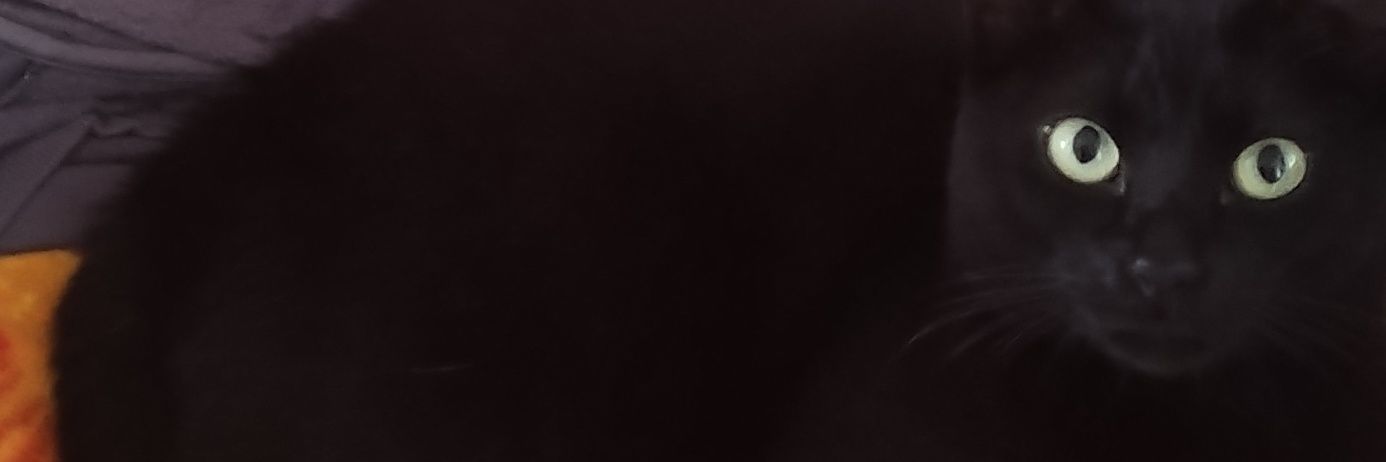 Towers_as's profile banner image