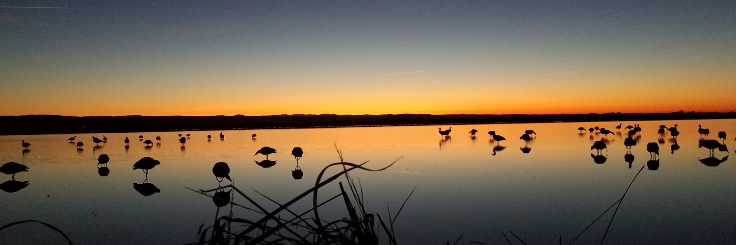 Salty McSaltersons banner