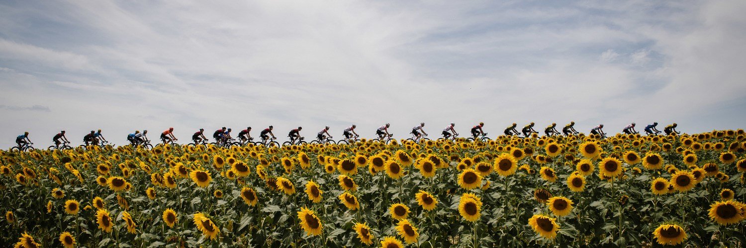 Mahmoud A. Rabo | محمود عبدربه banner