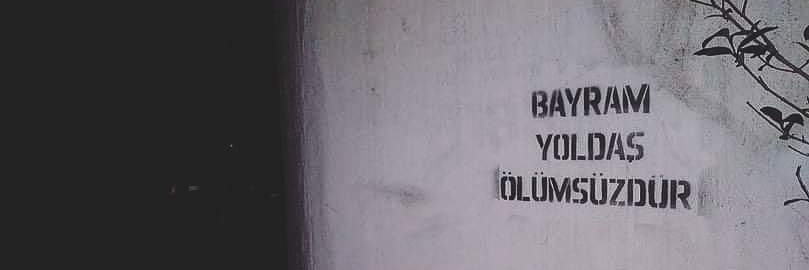 Sabina banner