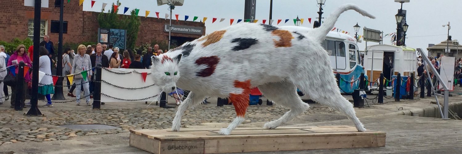 Faith Bebbington banner