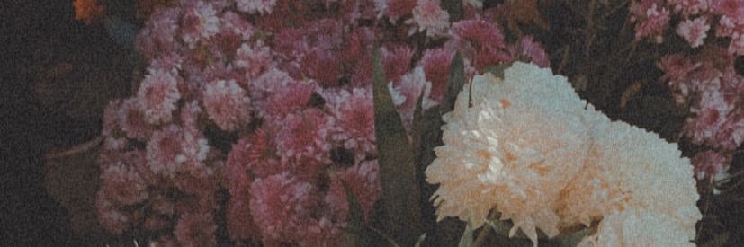 cristophervl5's profile banner image
