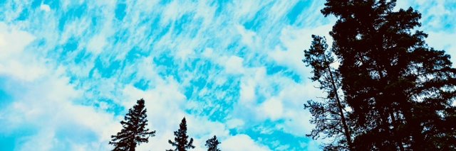 Muskrat Moose banner