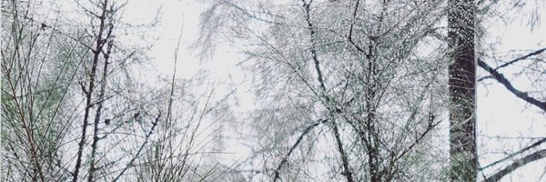 Scrybill's profile banner image