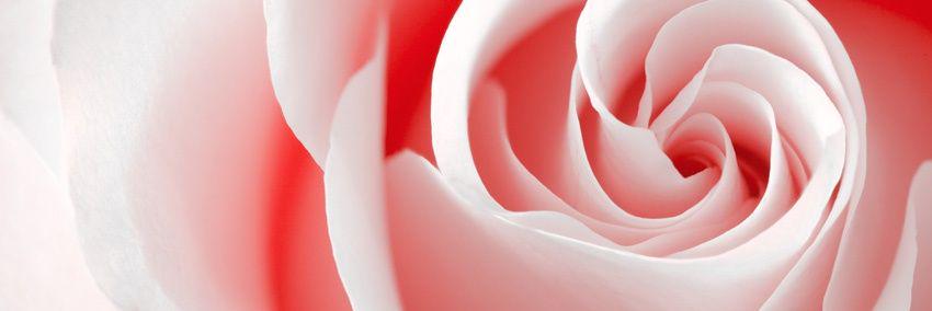 MCLASALLE's profile banner image