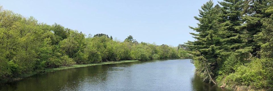 reviveminnesota's profile banner image